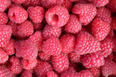 Ahududu dolgu dokusu. Birçok taze berry arka plan.