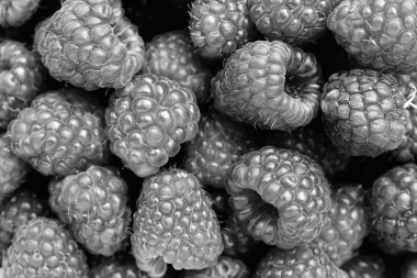 Siyah ve beyaz ahududu dolgu doku. Birçok taze berry arka plan.