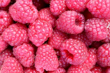 Ahududu dolgu dokusu. Birçok taze berry arka plan.