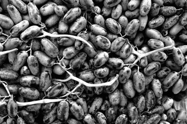 Siyah ve beyaz üzüm dolgu dokusu. Tazelik üzüm arka plan.