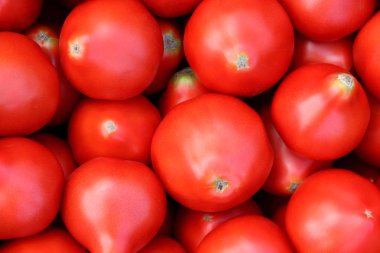 Domates dolgu doku. Taze domates sebze arka plan.