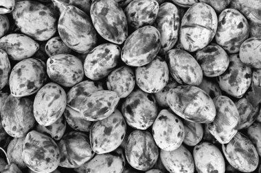 Siyah ve beyaz erik dolgu dokusu. Erik meyve lezzetli tazelik arka plan.