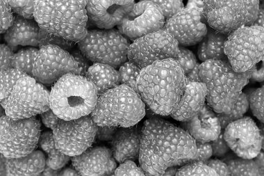 Siyah ve beyaz ahududu dolgu doku. Birçok taze berry arka plan.