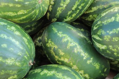 Karpuz dolgu dokusu. Tatlılık karpuz arka plan.