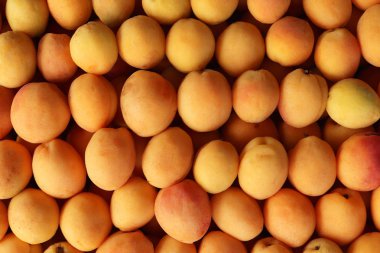 Kayısı dolgu dokusu. Kayısı tazeliği arka plan.