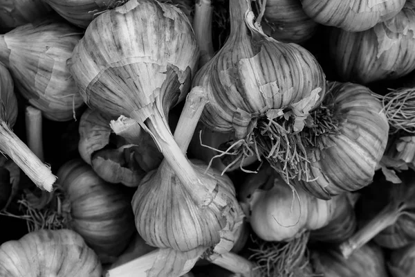 Textura de relleno de ajo blanco y negro. Fondo de frescura de ajo . — Foto de Stock