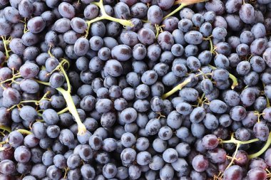 Siyah frenk üzümü dolgu dokusu. Frenk üzümü tazeliği arka plan.