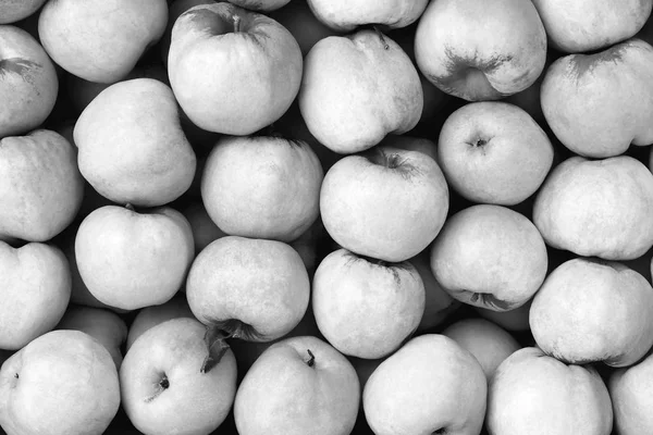 Black and white apple filling texture. Freshness apples background.