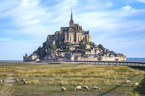 Mont Saint Michel Abbazia Con Mare Bassa Marea Obbedire Pascolo — Foto Stock