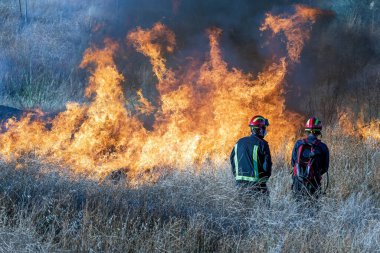İki itfaiyeci orman yangınını nasıl söndüreceklerini analiz ediyor.