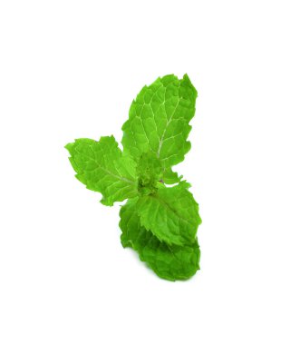 Beyaz arkaplanda izole edilmiş nane yaprakları