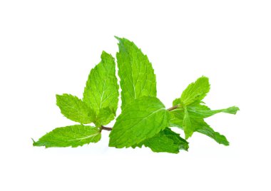 Beyaz arkaplanda izole edilmiş nane yaprakları