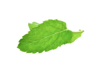 Beyaz arkaplanda izole edilmiş nane yaprakları