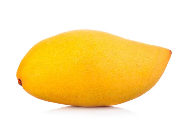 Mango Isolato Sfondo Bianco — Foto Stock