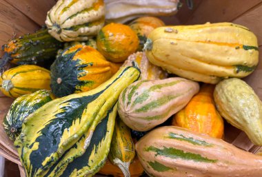 Cadılar Bayramı için çeşitli renk ve şekillerde balkabakları mağazada.