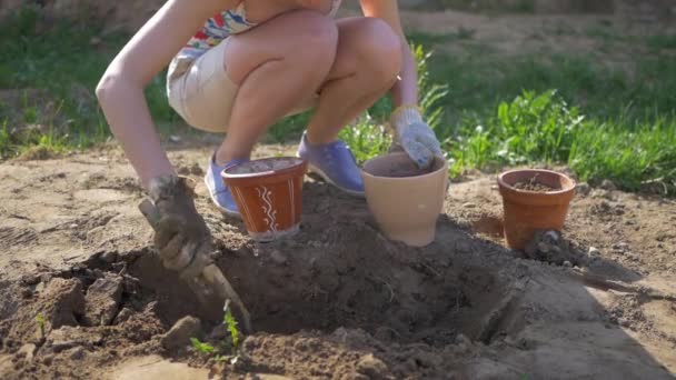 Girl leaves soil in flower pots — Stock Video