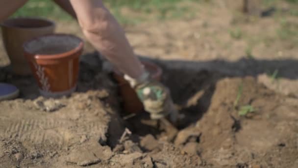 Девушка оставляет почву в цветочных горшках — стоковое видео