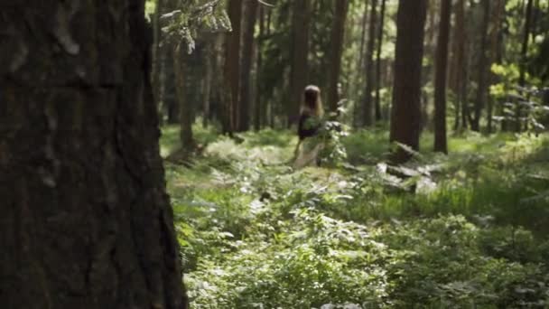 Een meisje loopt door het bos — Stockvideo