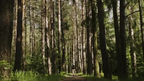 Een meisje loopt door het bos — Stockvideo