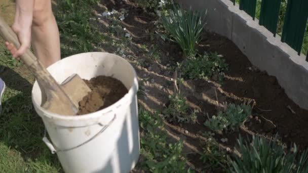 Une femme travaillant dans le jardin de fleurs — Video