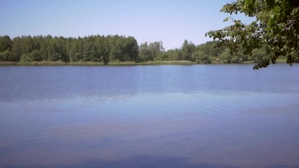 Paisaje verano Lago — Vídeo de stock