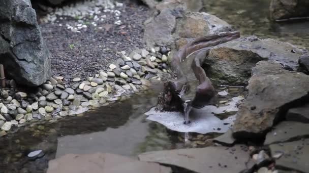 Fluxo de água no projeto da paisagem — Vídeo de Stock