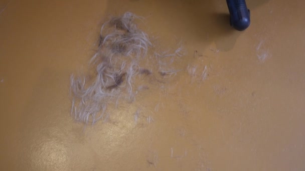 I capelli sul pavimento del negozio di barbiere — Video Stock