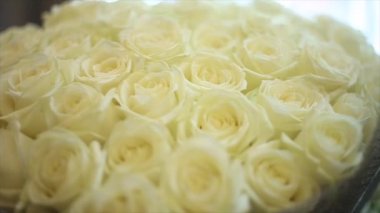 Büyük bir buket beyaz gül.