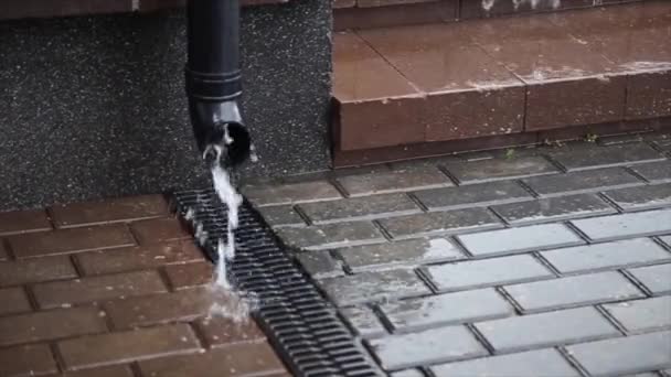 Sokakta yağmur yağıyor — Stok video