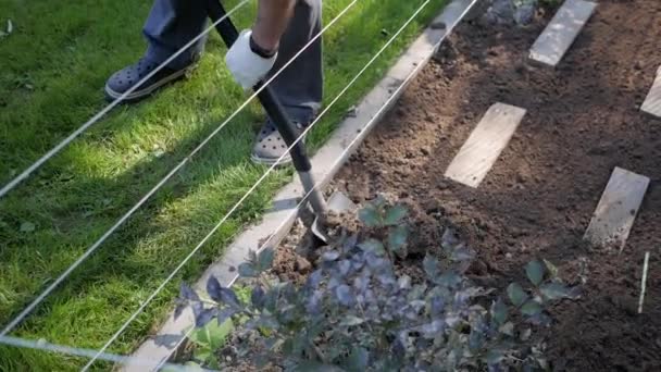 Jardinier travaille dans le jardin — Video