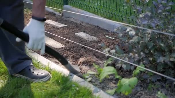 Trädgårdsmästare arbetar i trädgården — Stockvideo