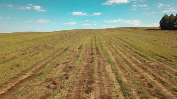 Над полем пролетает беспилотник — стоковое видео