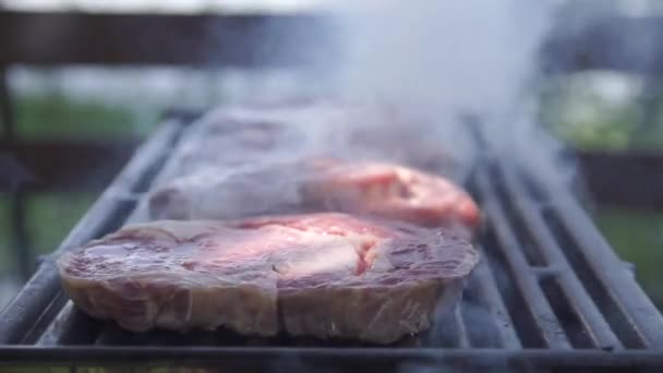 Steaks grillés sur le barbecue — Video