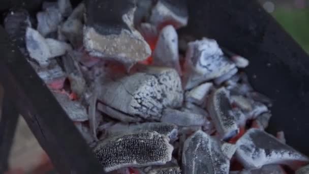 Vue des briquettes de charbon de bois enflammées chaudes qui brillent dans le barbecue Grill Pit . — Video