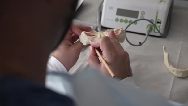 Médico dentista sosteniendo una maqueta de una mandíbula humana — Vídeos de Stock