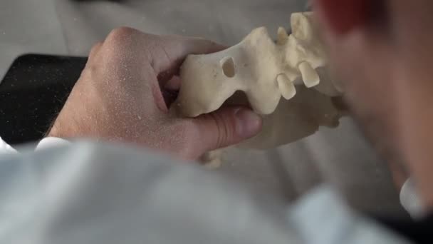 Doctor dentist holding a mock-up of a human jaw — Stock Video