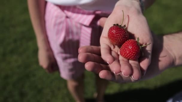 Un hombre sostiene las fresas en la palma de tu mano — Vídeo de stock