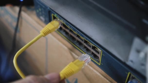 Rincian kabel jaringan yang ditancapkan ke dalam switchboard jaringan — Stok Video