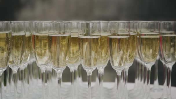 Vele glazen champagne op de tafelstandaard — Stockvideo