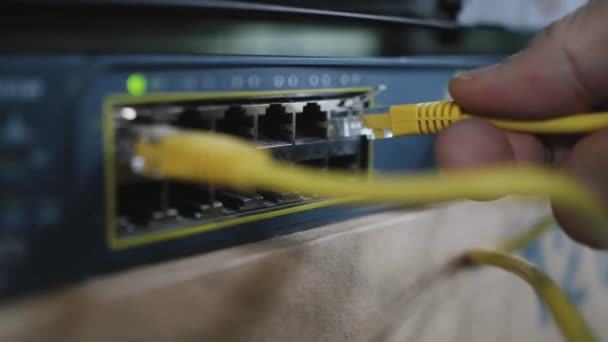 Detalle del cable de red que se conecta a la centralita de red — Vídeos de Stock