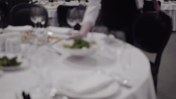 Camarero trae plato con ensalada — Vídeo de stock