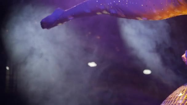Гімнастка виконує акробатичний номер на дзеркальному м'ячі — стокове відео