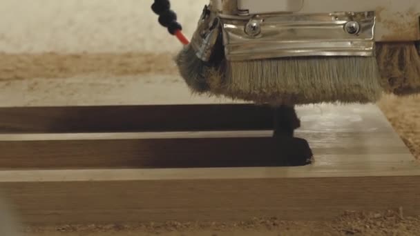 Moderne Holzbearbeitungsmaschine mit CNC, — Stockvideo