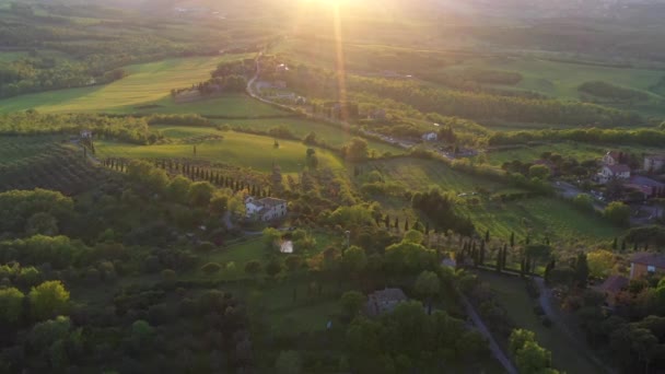 Беспилотник пролетает над винодельческими полями Италии . — стоковое видео