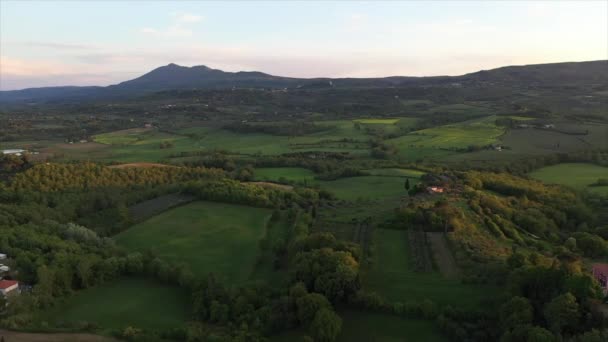 Le drone survole les champs de vin en Italie . — Video