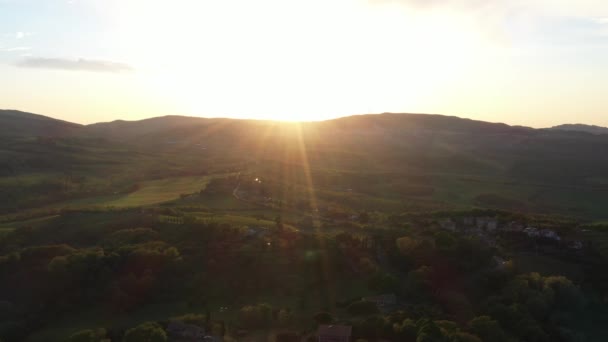 De drone vliegt over de wijnvelden in Italië. — Stockvideo