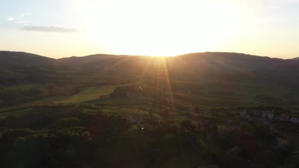 De drone vliegt over de wijnvelden in Italië. — Stockvideo