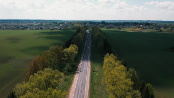 A drone repül át az út a fák között, és nézi az autókat — Stock videók