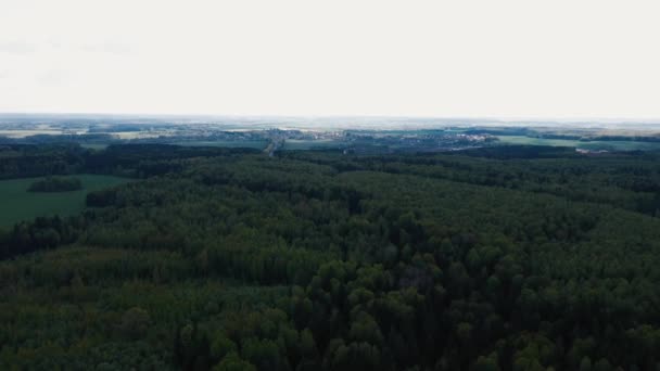 El dron vuela más allá de las copas de los árboles y vuela sobre el bosque . — Vídeo de stock