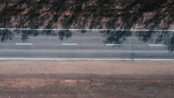 O drone voa sobre a estrada entre as árvores e observando os carros — Vídeo de Stock